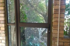 IMG-20230919-WA0054